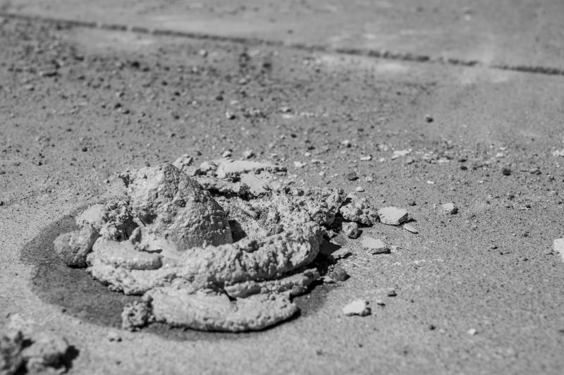 Increase Your Tree Trimming Business with an AI Driven, Targeted Website