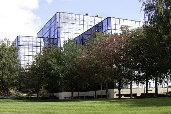 Commercial Tree Trimming in Fenton