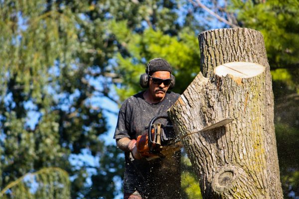 Ash Tree Pruning in Fenton